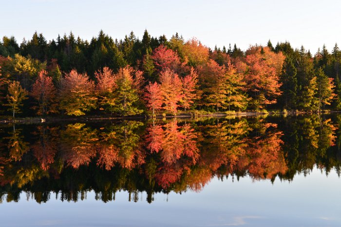 BesichtigungHerbst 15 (59)